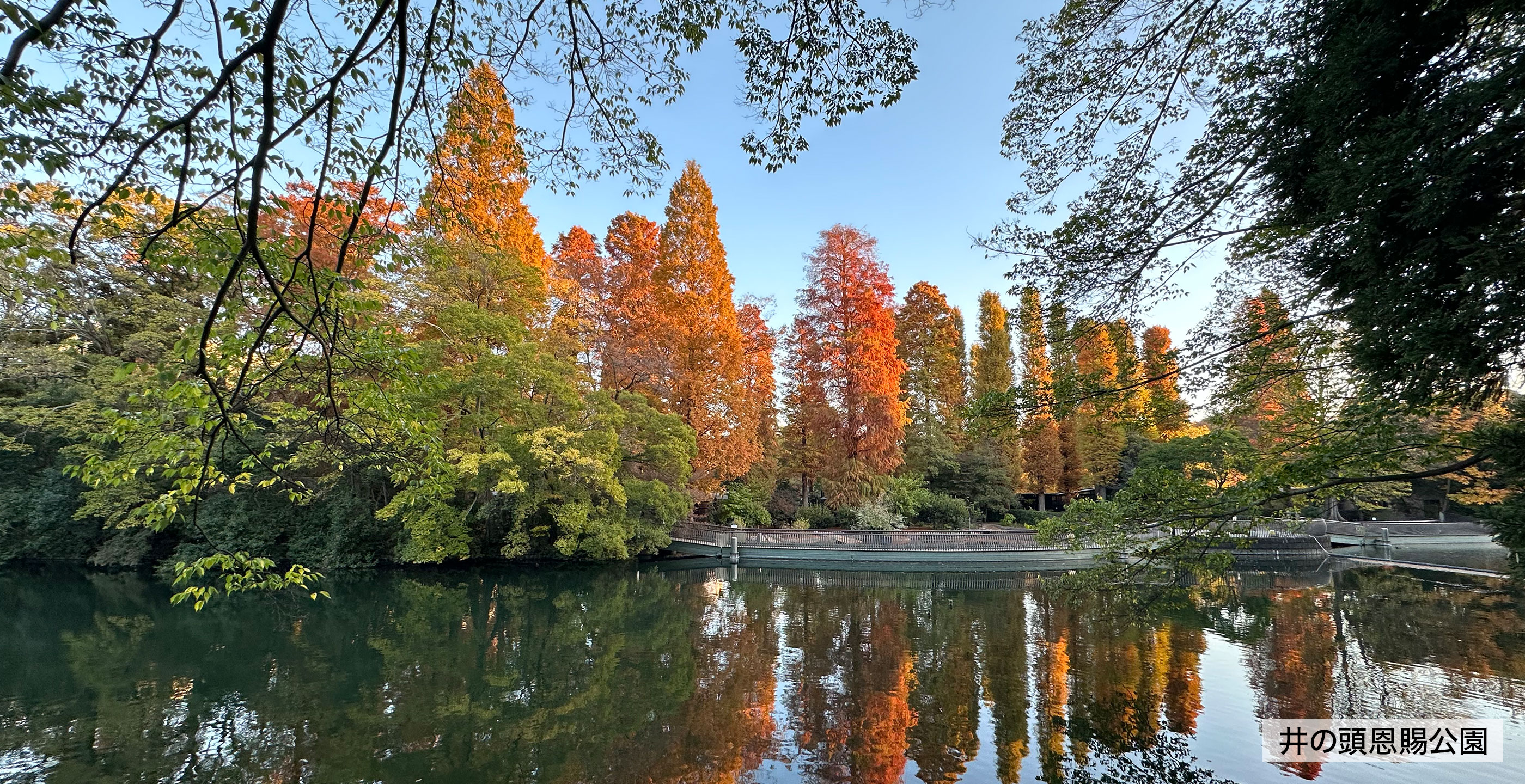 地域の人々が健やかに過ごせるように、支えるための情報をお伝えします。